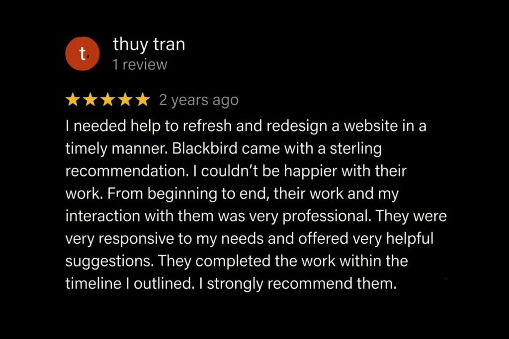 professional SEO services New York